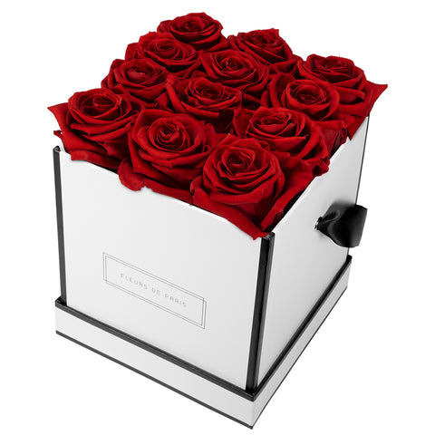 Moyen / Blanc - Anguleux / Royal Red