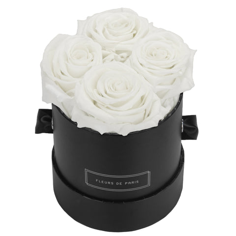Petit / Noir - Rond / Ivory