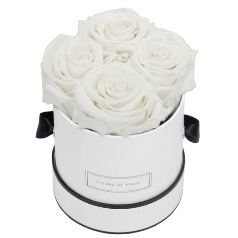 Petit / Blanc - Rond / Ivory